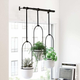 Umbra Triflora Hanging Planter